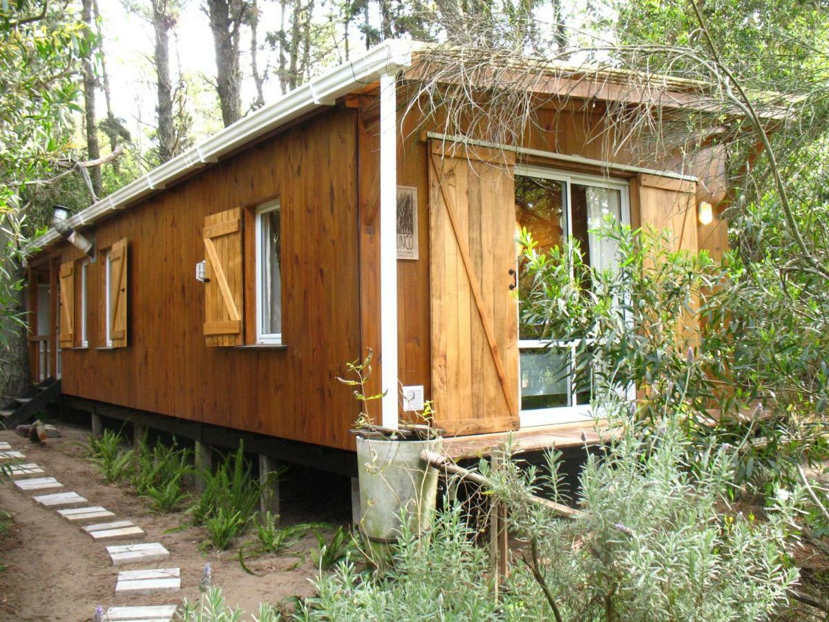 Cabana Junco Villa Mar de Las Pampas Esterno foto